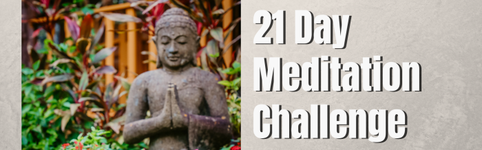 21-Day Mindfulness Meditation Program