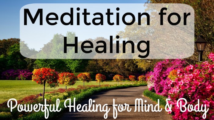 Healing chakra meditation guided workshop tania