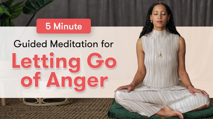 Meditation anger