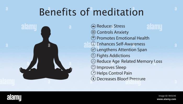 Meditation headspace driscoll evelyn infographic