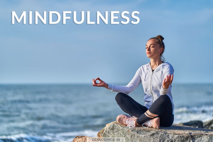 Mindfulness meditation guide complete zenlounge dey debashis